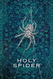 Holy Spider Turkish  subtitles - SUBDL poster