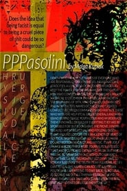 PPPasolini (2015) subtitles - SUBDL poster