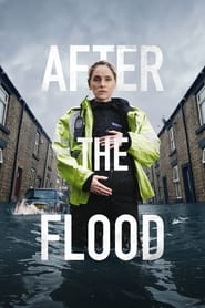 After the Flood (2024) subtitles