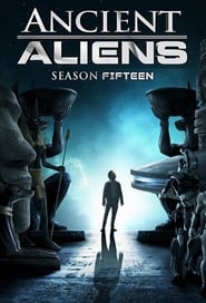 Ancient Aliens Vietnamese  subtitles - SUBDL poster
