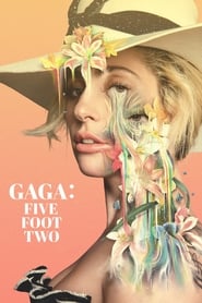Gaga: Five Foot Two Arabic  subtitles - SUBDL poster