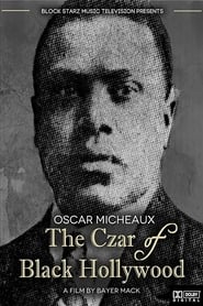 The Czar of Black Hollywood (2014) subtitles - SUBDL poster