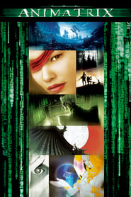 The Animatrix (2003) subtitles - SUBDL poster