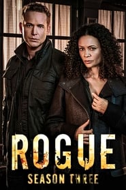 Rogue (2013) subtitles - SUBDL poster