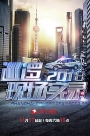 SHANGHAI POLICE REAL STORIES (2018) subtitles - SUBDL poster