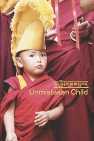Unmistaken Child Vietnamese  subtitles - SUBDL poster