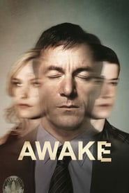 Awake (2012) subtitles