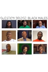 Question Bridge: Black Males (2012) subtitles - SUBDL poster