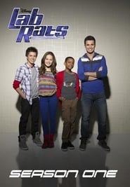 Lab Rats