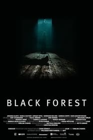 Black Forest (2012) subtitles - SUBDL poster