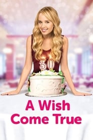 A Wish Come True (2015) subtitles