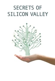 Secrets of Silicon Valley English  subtitles - SUBDL poster