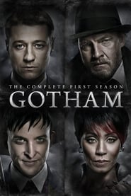 Gotham Hebrew  subtitles - SUBDL poster