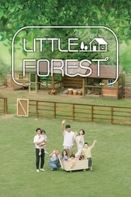 Little Forest (2019) subtitles - SUBDL poster