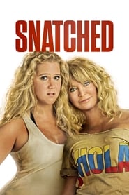 Snatched (2017) subtitles