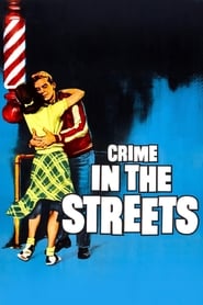 Crime in the Streets (1956) subtitles