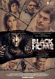 Black Home (2014) subtitles - SUBDL poster