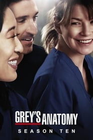 Grey's Anatomy Indonesian  subtitles - SUBDL poster