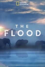 The Flood (2018) subtitles