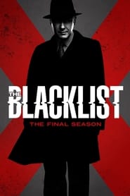 The Blacklist (2013) subtitles - SUBDL poster