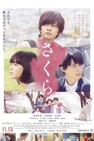 Sakura English  subtitles - SUBDL poster