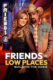 Friends in Low Places (2024) subtitles - SUBDL poster