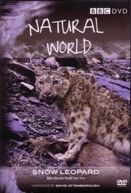 Snow Leopard: Beyond the Myth (2008) subtitles