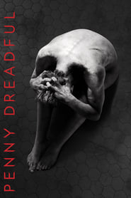 Penny Dreadful French  subtitles - SUBDL poster