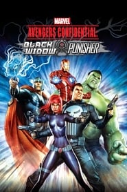 Avengers Confidential: Black Widow & Punisher Dutch  subtitles - SUBDL poster