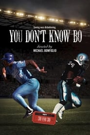 You Don't Know Bo (2012) subtitles - SUBDL poster