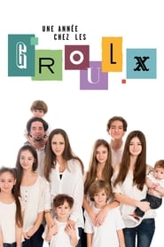 La famille Groulx (2017) subtitles - SUBDL poster
