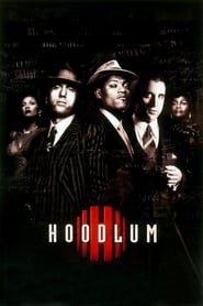 Hoodlum English  subtitles - SUBDL poster