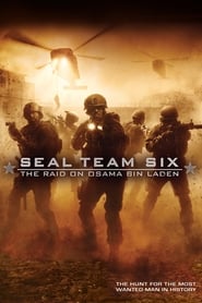 Seal Team Six: The Raid on Osama Bin Laden (2012) subtitles