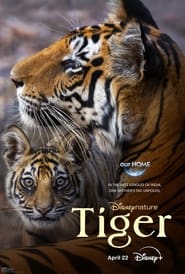 Tiger Hebrew  subtitles - SUBDL poster
