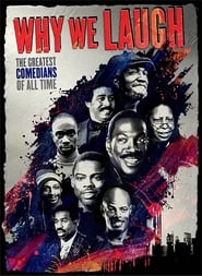 Why We Laugh: Black Comedians on Black Comedy (2009) subtitles - SUBDL poster