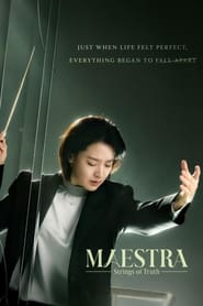 Maestra: Strings of Truth French  subtitles - SUBDL poster