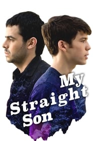 My Straight Son (2012) subtitles