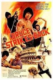 Bruce Strikes Back Arabic  subtitles - SUBDL poster