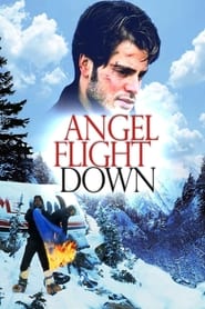 Angel Flight Down (1996) subtitles