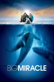 Big Miracle (2012) subtitles