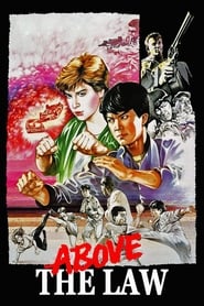 Righting Wrongs Vietnamese  subtitles - SUBDL poster