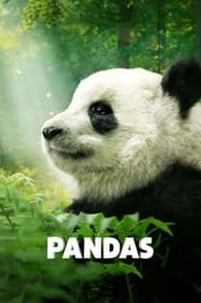 Pandas: The Journey Home