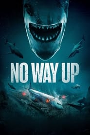 No Way Up (2024) subtitles