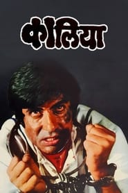 Kaalia (1981) subtitles - SUBDL poster