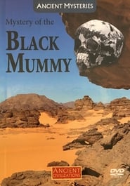 The Mystery of the Black Mummy (2003) subtitles - SUBDL poster