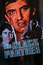 The Black Panther Dutch  subtitles - SUBDL poster