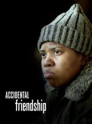 Accidental Friendship (2008) subtitles - SUBDL poster