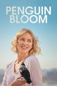 Penguin Bloom Norwegian  subtitles - SUBDL poster