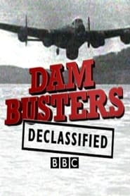 Dam Busters Declassified (2010) subtitles - SUBDL poster
