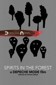 Spirits in the Forest (2019) subtitles - SUBDL poster